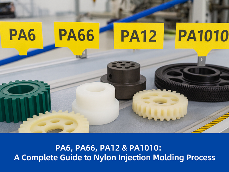 PA6, PA66, PA12 & PA1010: A Complete Guide to Nylon Injection Molding Process