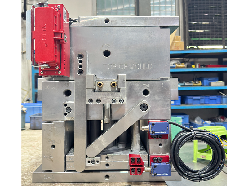 Export Mold Inspection
