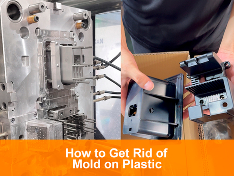 How to Get Rid of Mold on Plastic.jpg