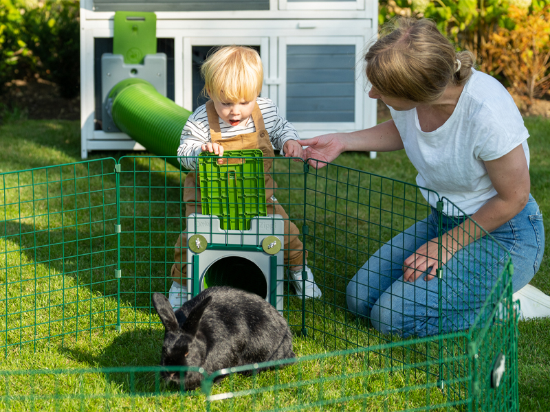Injection Molding Solutions for Rabbit Tunnel Systems