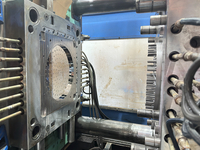 Shower Head Mold