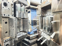 Water Filter Mold 