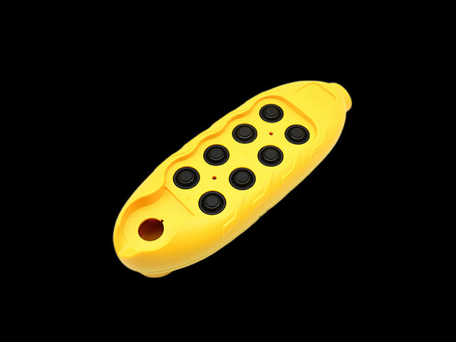remote control housings